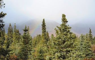A rainbow appears in the sky over the mountain forest in Healy, Alaska. Image courtesy USGS. 2014. (Photo by Smith Collection/Gado/Getty Images).