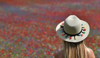 PERUGIA, ITALY - JULY 10:  A woman looks at the flowers during Annual Blossom in Castelluccio on July 10, 2018 in Castelluccio di Norcia near Perugia, Italy.  (Photo by Giuseppe Bellini/Getty Images)
