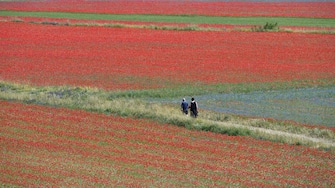 PERUGIA, ITALY - JULY 10:  People walk in the fields during the annual blossom in Castelluccio on July 10, 2018 in Castelluccio di Norcia near Perugia, Italy.  (Photo by Giuseppe Bellini/Getty Images)