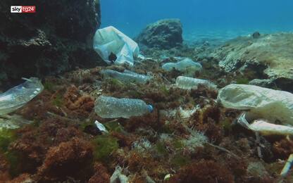 Plastica, l’Atlantico ne contiene più di 21 milioni di tonnellate