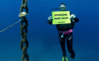Greenpeace placed a temperature monitoring station at Elba island, in the area of the Pelagos Sanctuary, and worked in partnership with the University of Genova to study the impact of climate change on underwater coastal biodiversity. First project results' indicate raising temperature are killing iconic underwater organisms as protected pen shell Pinna nobilis and colonies of the sea-fan gorgonia (Paramuricea clavata) and favouring unusual mucilage events that cover completely the substrate suffocating organisms.