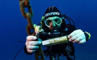 GP1SU5V5 Greenpeace placed a temperature monitoring station at Elba island, in the area of the Pelagos Sanctuary, and worked in partnership with the University of Genova to study the impact of climate change on underwater coastal biodiversity. First project results' indicate raising temperature are killing iconic underwater organisms as protected pen shell Pinna nobilis and colonies of the sea-fan gorgonia (Paramuricea clavata) and favouring unusual mucilage events that cover completely the substrate suffocating organisms.