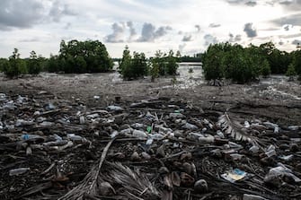 HITHADHOO, MALDIVES - DECEMBER 14: Plastic waste litters the shoreline in Koattey wetlands on December 14, 2019 in Hithadhoo, Maldives. The neighbouring Koattey and Eydhigali Kilhi wetlands are among the largest wetlands in the Maldives and have become integral to the countrys EU and Australia-funded Climate Change Adaptation Project to preserve and manage the wetlands and utilise them as a natural defence against floods and rising seas. The wetlands can store several tens of million cubic meters of water, act as barriers against rising sea levels and flooding caused by extreme weather events, they also contribute to waste water management, groundwater recharge, freshwater storage, and purify water that flows through their systems. Plants found here are critical in controlling erosion. Along with coral reefs, wetlands are the primary defence that a small island nation like the Maldives has against climate change. (Photo by Carl Court/Getty Images)