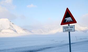 A traffic sign warns of polar bears in Longyearbyen, on the island of Spitsbergen, the northernmost part of Norway on April 30, 2013. AFP PHOTO / SCANPIX NORWAY/FREDERIK LJONE HOLST      NORWAY OUT        (Photo credit should read FREDERIK LJONE HOLST/AFP via Getty Images)
