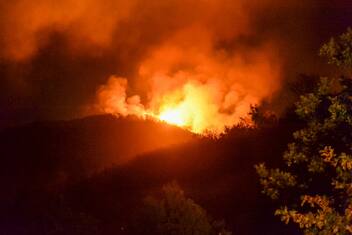 Incendi, Coldiretti: per ripristinare i boschi necessari 15 anni