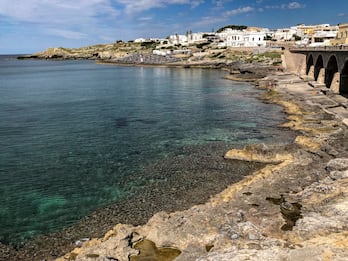 In Calabria, il Mar Ionio invaso da meduse: "Più caldo e pulito"