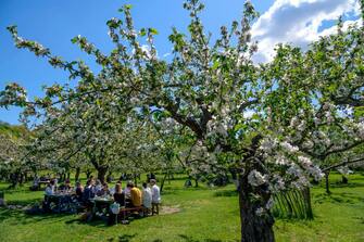People enjoy the sunny weather in a garden cafÃ© at Djurgarden in Stockholm, on May 26, 2020, as temperatures reached 20 degrees Celsius. (Photo by Anders WIKLUND / TT NEWS AGENCY / AFP) / Sweden OUT (Photo by ANDERS WIKLUND/TT NEWS AGENCY/AFP via Getty Images)
