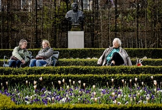 Tulips are seen in the gardens of the Rijksmuseum in Amsterdam, on March 31, 2016. 
During the Tulip Festival hundreds of thousands of tulips will be admired in various locations in the capital. / AFP / ANP / Robin van Lonkhuijsen / Netherlands OUT        (Photo credit should read ROBIN VAN LONKHUIJSEN/AFP via Getty Images)