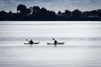 GARELOCHEAD, SCOTLAND - OCTOBER 01: Canoeists are seen in the Gare Loch where boats are attempting to herd Northern Bottlenose whales into the open sea ahead of a military exercise starting in the region On October 1, 2020 in Garelochhead, Argyll and Bute.Three northern bottlenose whales have been stuck in Gare Loch near Faslane Naval Base, apparently unable to find their way back to the North Atlantic. (Photo by Jeff J Mitchell/Getty Images)