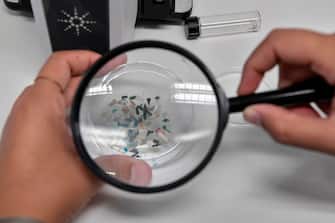 A biologist looks at microplastics found in sea species at the Hellenic Centre for Marine Research near Athens, on November 26, 2019. - "Marine litter is a global issue, so it is (present) in Greece. More than 70 percent of marine litter is plastic in Greece," says Katerina Tsagari, a biologist .The team has found litter, most of it plastic, in about 75 percent of loggerhead turtles tested. Overall, they have found plastic ingestion in between 20 and 45 percent of the species tested, which include fish, crabs and mussels. (Photo by LOUISA GOULIAMAKI / AFP) (Photo by LOUISA GOULIAMAKI/AFP via Getty Images)