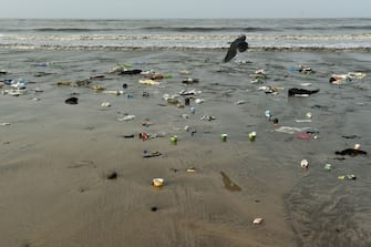 TOPSHOT - In this photograph taken on September 14, 2019 plastic waste and trash is seen on Versova beach in Mumbai. - Facing severe flooding as sea levels rise, authorities in India's financial capital Mumbai are building bunds and restoring coastal mangrove trees to protect the vulnerable mega-city. (Photo by PUNIT PARANJPE / AFP) / TO GO WTIH:  UN-climate-India-science-oceans-Mumbai, FOCUS by Vishal MANVE (Photo by PUNIT PARANJPE/AFP via Getty Images)