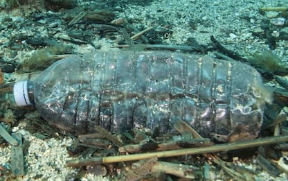 Oceani, Onu: nel 2050 plastica potrebbe superare tutti i pesci