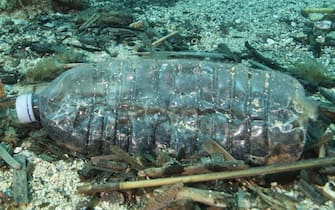 This photo taken on May 1, 2017 shows a discarded plastic bottle in the Port-Cros natural park. - An emblematic fish of the Mediterranean Sea, the Merou, victim of poaching and pollution, with 66 groupers counted during a first counting operation in 2004, more than 320 in 2016 during the last census of the species in the Calanques national park. (Photo by Boris HORVAT / AFP)        (Photo credit should read BORIS HORVAT/AFP via Getty Images)