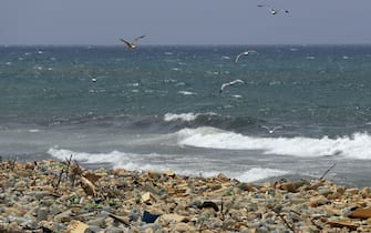 Seagulls search for food near a sewage discharge area next to piles of plastic bottles and gallons washed away by the water on the seaside of Ouzai, south of Beirut on July 19, 2018. - Many Lebanese nationals are refraining from heading to the beach this summer after reports about high levels of pollution along the country's Mediterranean coast, despite reassurances from government officials that the beaches remain safe. (Photo by JOSEPH EID / AFP)        (Photo credit should read JOSEPH EID/AFP via Getty Images)