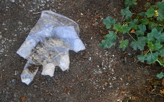 Guanti in plastica gettati in strada per le vie del centro. Genova, 30 Aprile 2020. ANSA/LUCA ZENNARO