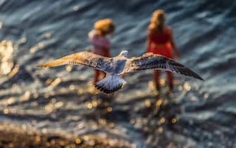 Una foto con due bagnanti e un gabbiano esposta alla mostra “Il mare chiama chi ama il mare”, a Sorrento