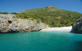 La spiaggia di Cala Bianca di Camerota in Cilento, vincitrice del sondaggio web di Legambiente 'La piu' bella sei tu'. Roma, 7 agosto 2013. ANSA/ US LEGAMBIENTE +++ NO SALES - EDITORIAL USE ONLY +++