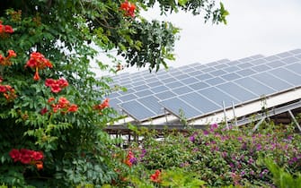 Green energy, solar panels on roof