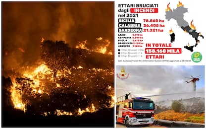 Incendi e desertificazioni, bruciati 150mila ettari nel 2021