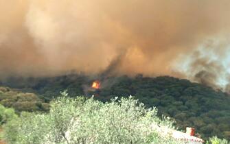 Allarme incendi in Sardegna, distrutti ettari di macchia in Gallura. Nella foto incendio in località San Teodoro, sulla costa orientale