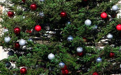 Napoli, rubato e poi ritrovato albero di Natale del Consiglio Comunale