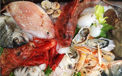 Controlli per festività natalizie: sequestrate 170 tonnellate di pesce