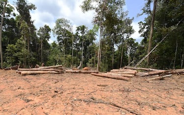 Picture of a deforested area taken during surveillance by officials from Para State, northern Brazil, in the Amazon rain forest in the municipality of Pacaja, 620 km from the capital Belem, on September 22, 2021. (Photo by EVARISTO SA / AFP) (Photo by EVARISTO SA/AFP via Getty Images)