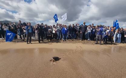 Earth Day, Marevivo a Palermo con gli studenti. VIDEO