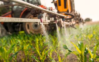 Crop sprayer spraying pesticides on crops in field.
