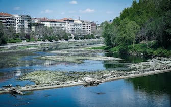 Il fiume Po a secca e infestato dalle alghe. Torino 02 maggio 2022 ANSA/TINO ROMANO