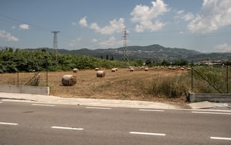 PONTECAGNANO FAIANO, ITALY - JUNE 16: General view of an agricultural land on June 16, 2022 in Pontecagnano Faian, Italy. In Italy, the latest ISPRA report published in July 2021, denounces the continuous loss of soil in a country that has various emergencies including: hydrogeological risks, desertification risk, loss of water resources, increase in average temperatures in cities due to continuous overbuilding. (Photo by Ivan Romano/Getty Images)