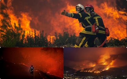 Incendi, oltre 660mila ettari di boschi bruciati in Europa: è record