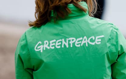 Il 15 settembre è il Greenpeace Day: la storia della fondazione Onlus