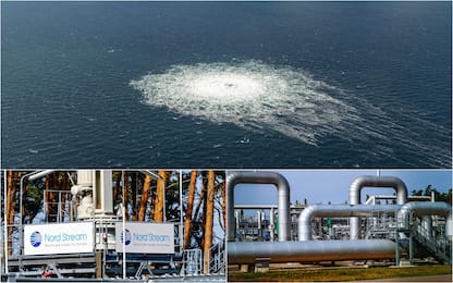 Gasdotto Nord Stream e ipotesi sabotaggio: quali danni per l’ambiente?