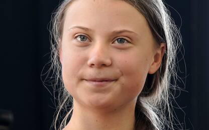Greta Thunberg contro provocazioni Andrew Tate su Twitter