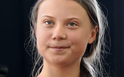 Greta Thunberg contro provocazioni Andrew Tate su Twitter
