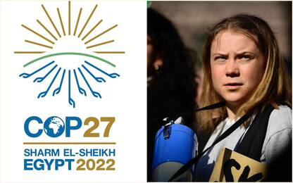 Cop27, Greta Thunberg non sarà alla conferenza clima: i partecipanti