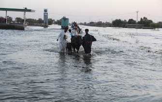 epa10241289 People affected by floods move to higher grounds in KPN Shah, Sindh province , Pakistan, 13 October 2022. According to disaste?r management authorities, around 160 bridges and 5,000 km of roads have been destroyed or damaged, with 3.5 million acres of crops affected and about? 800,000 livestock lost. More than 33 million people have been affected by floods since June 2022, the country's climate change minister Sherry Rehma?n said.  EPA/NADEEM KHAWAR