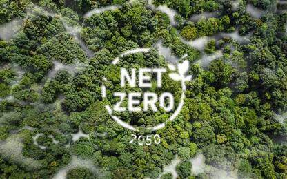 Enel X: soluzioni per il traguardo Net Zero Emissions 2050