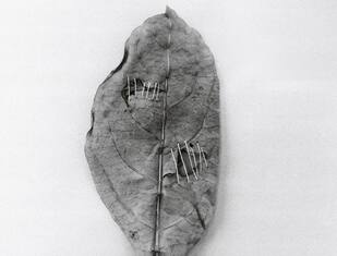 Firenze, a Palazzo Vecchio sostenibilità in mostra con "Second Life"