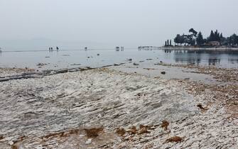 L'isola dei Conigli, a causa della siccita' che affligge il lago di Garda, si raggiunge a piedi, Manerba (Brescia), 23 febbraio 2023. 
ANSA/ FILIPPO VENEZIA