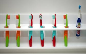 PRODUCTION - 02 February 2022, Hessen, Darmstadt: Toothbrushes lined up in a daycare center. Photo: Sebastian Gollnow/dpa (Photo by Sebastian Gollnow/picture alliance via Getty Images)