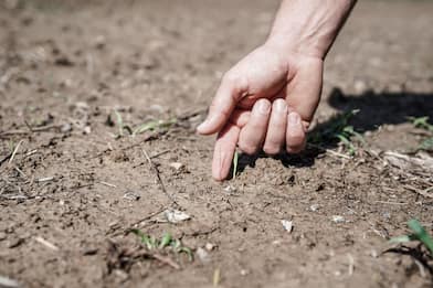 Caldo, emergenza semine nei terreni aridi per la siccità: -30% d'acqua