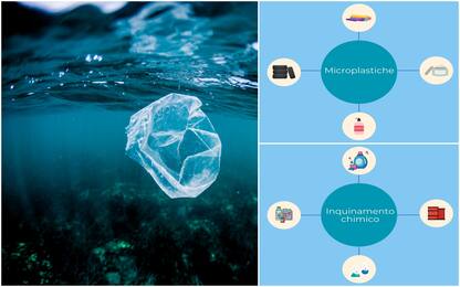 Inquinamento degli oceani, cosa sapere sulle cause e le conseguenze