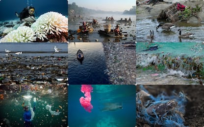 Inquinamento, 10 foto che mostrano i danni agli ecosistemi marini