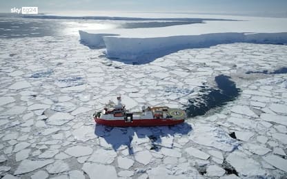 Missione Antartide, osservatori marini nel Mare di Ross