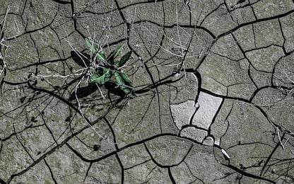 Giornata mondiale acqua, in Italia continua calo disponibilità idrica