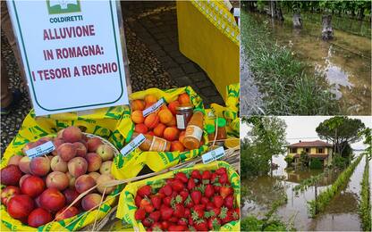 Alluvione Emilia Romagna, Coldiretti: "A rischio biodiversità zona"