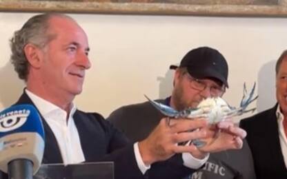 Zaia mostra il granchio blu: "Raccolte 326 tonnellate". VIDEO