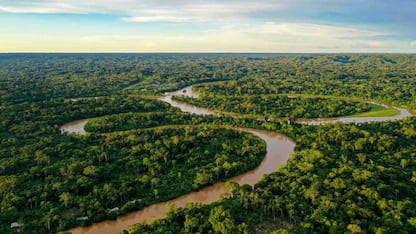 "Amazzonica, come salvare una foresta". LO SPECIALE
